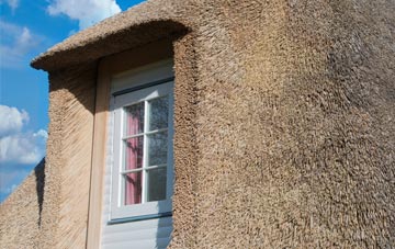 Royston Water thatch roof disadvantages