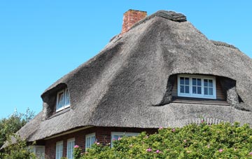 thatch roofing Royston Water, Somerset