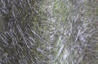 Royston Water fibreglass roof work